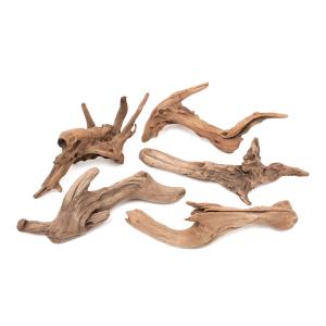 形状お任せ 煮込み済み ハニカムウッド XLサイズ（30〜40cm