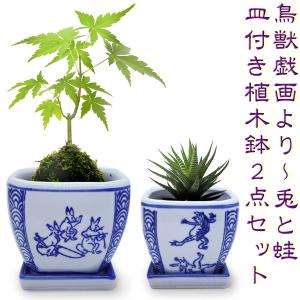 植木鉢 柄違い 2点セット おしゃれ 陶器 磁器 和風 丸鉢 深鉢 脚付き