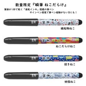 PILOT（パイロット） [数量限定]パイロット アクロボール4＋1 お文具と