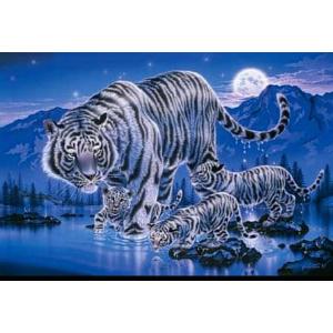 エポック ジグソーパズル 2016ピース パズルの超達人 西野健太郎