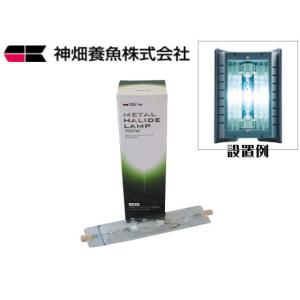 コトブキ工芸 スーパーターボ 1200Z プラス 上部フィルター 120cm水槽