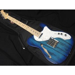 FUJIGEN（フジゲン） FGN FUJIGEN NTE110MMHT NT シンライン