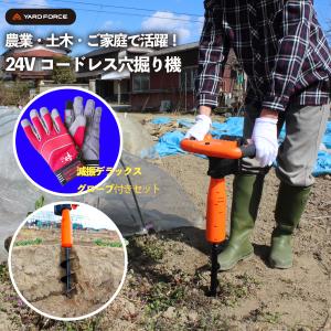 美顔器 認定ストア限定「セリスタ・タイムレスビューティーブースター