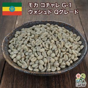 DRIP TRIP 生豆 エチオピア ゲイシャ ジャスミンG1（ナチュラル