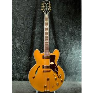 プレミアムギグバッグ付属!!】Epiphone Sheraton -Vintage Sunburst