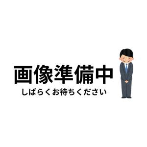 JVCケンウッド（JVC KENWOOD） Victor ポータブル電源 BN-RF510 512Wh