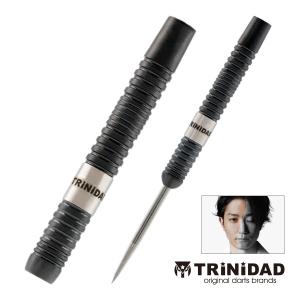 TRiNiDAD PRO(トリニダード プロ) JOHN Type2(ジョン タイプ2) 2BA