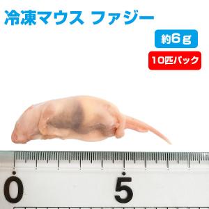冷凍 エサ冷凍 冷凍マウス ホッパー Sサイズ 約10g 10匹パック T2