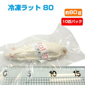 冷凍 エサ冷凍 冷凍マウス ファジー 約6g 10匹パック T2 クール便発送