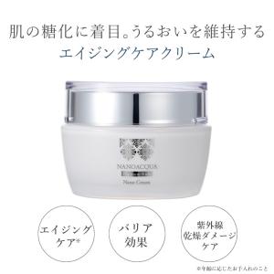 Amway（アムウェイ） 【送料無料】アムウェイ アーティストリー