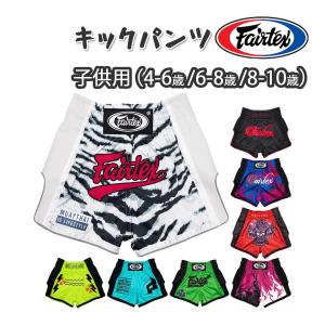 フェアテックス Fairtex 本革 ボクシンググローブ BGV16 8オンス 10