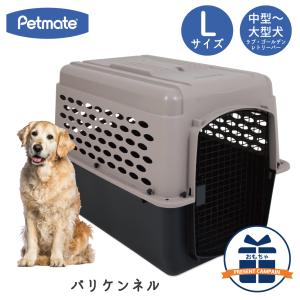 Petmate ハードキャリー 犬 クレート ハードクレート キャリー