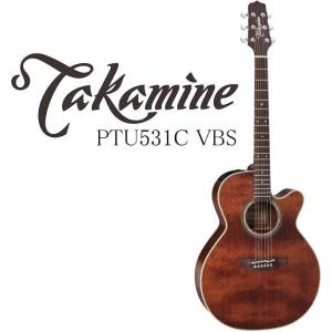Takamine [※お取り寄せ商品] Takamine DMP251-DC N タカミネ エレアコ