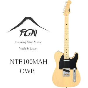 FUJIGEN（フジゲン） FGN FUJIGEN NTE100MAH SBB テレキャスター