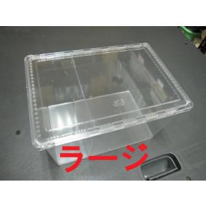 飼育ケース・コバエシャッター・ミニ50個☆定休日＝日祝水曜、他