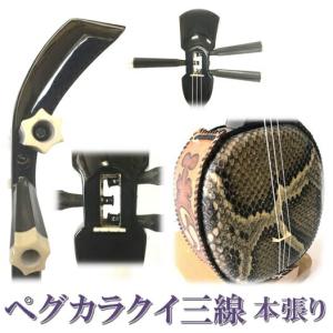 三線セット 沖縄三線初心者A 11点セット（人工皮＋ソフトケース）沖縄