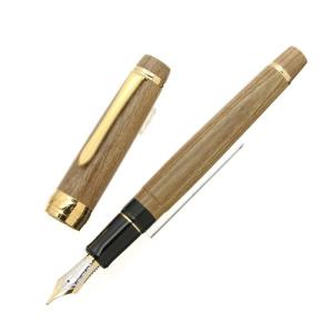 万年筆 PILOT パイロット 日本限定 カスタム742 Modernized Tradition