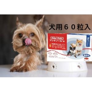 120粒】【あすつく】アンチノールプラス アンチノールplus 犬用
