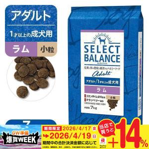 SELECT BALANCE （国産おやつ＆おまけ付き）セレクトバランス パピー