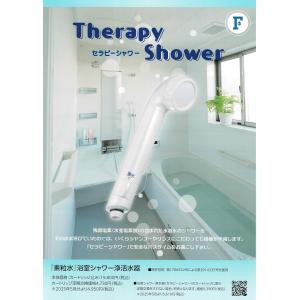 フリーサイエンス 正規代理店 ウォーターセラピィー 1台（カートリッジ