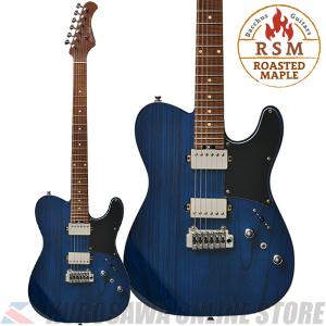 Ibanez（アイバニーズ） Ibanez RG Series RG350ZB-WK (Weathered