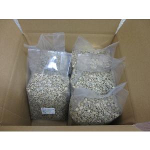 コーヒー生豆 タンザニア AA 5kg 大容量 まとめ買い【生豆】 : 三本