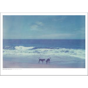 額装済/Ever is Overall 1997（ピピロッティ リスト）/ポスター : az