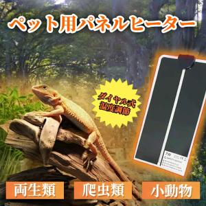 GEX（ジェックス） 【水槽セット】9045 フトアゴヒゲトカゲ飼育セット