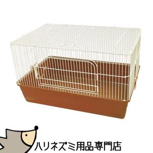 ハリネズミ飼育セットA 〜基本コース〜 』 SBSコーポレーション