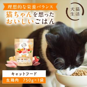 犬猫生活 キャットフード 無添加 ドライ 猫 大容量 オールステージ 生