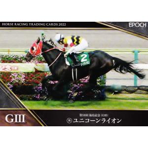 ウマ娘 ヒシミラクル DNAカード 希少 ホースレーシングカード ウマ娘