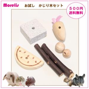 かじり木 お試しセット 送料無料 おもちゃ リス ハムスター チンチラ