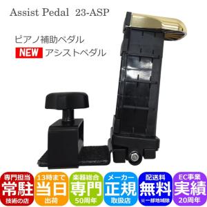 吉澤 【its】2023年秋・改良最新型入荷！YOSHIZAWA Newアシスト