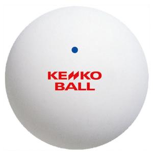 NAGASE KENKO（ナガセケンコー） ケンコーソフトテニスボール 公認球