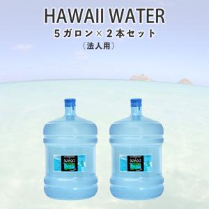 いわまの甜水」500mlペットボトル24本×2箱 発送までに12週間ほど