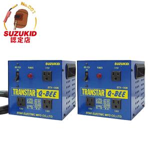 HATAYA（ハタヤ） ダウントランス HLV-05A (大容量5kVA/200V⇒100V50A