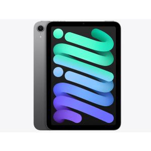 Apple iPad mini 第7世代 セルラー 128GB MXPN3JA スペースグレイ【お
