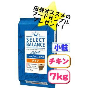 SELECT BALANCE （国産おやつ＆おまけ付き）セレクトバランス アダルト