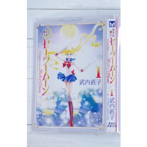 ☆ 美少女戦士セーラームーン ミュージアム クリアファイル 2枚セット