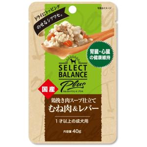 SELECT BALANCE セレクトバランス グレインフリー アダルト サーモン