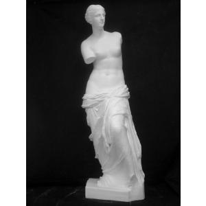 S−205 古代ヴィーナス首像（アバタのヴィーナス）（特） : 石膏像