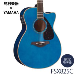 ジェームス（James） J-500S VNT アコースティックギター 教本付き