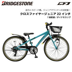 BRIDGESTONE（ブリヂストン） 子供用自転車 エクスプレスジュニア 24