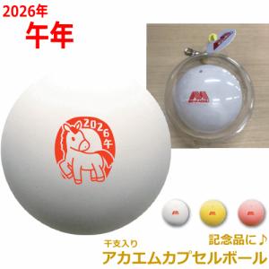 LUCENT（ルーセント） アカエム ソフトテニスボール 公認球 5ダース