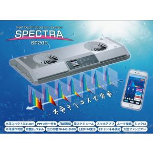 SPECTRA SP200（スペクトラ） シルバー : チャーム charm