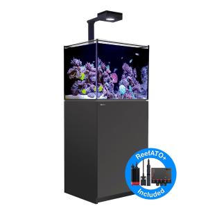 レッドシー リーファーG2+ 200フランジ付き ブラック Red sea REEFER