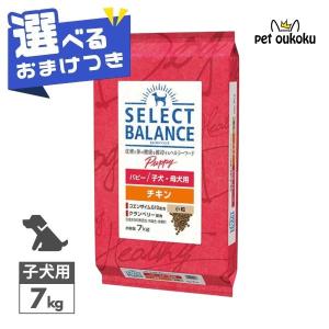SELECT BALANCE （国産おやつ＆おまけ付き）セレクトバランス パピー