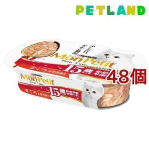 アイシア（AIXIA） シニア猫用 健康缶パウチ 腸内環境ケア 40g 1ケース