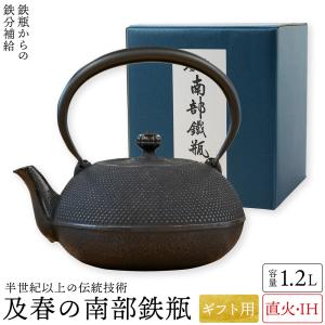 及源鋳造 南部鉄器 盛栄堂 鉄瓶（てつびん） 鋳造【伝統工芸】ガス 及
