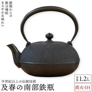 岩鋳（IWACHU） 雅 黒 鉄瓶 450ml 茶こし付き 10072 藍花 南部鉄器